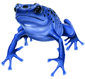 Arrowfrog